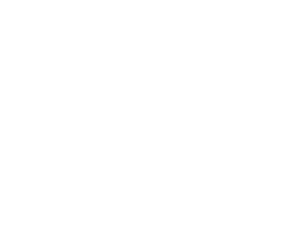 pkbdl logo white