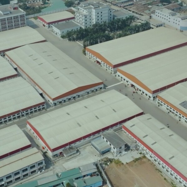 birds eye