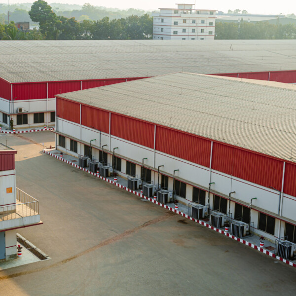 bird's eye_2